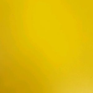 Meet your Posher, Dinorah